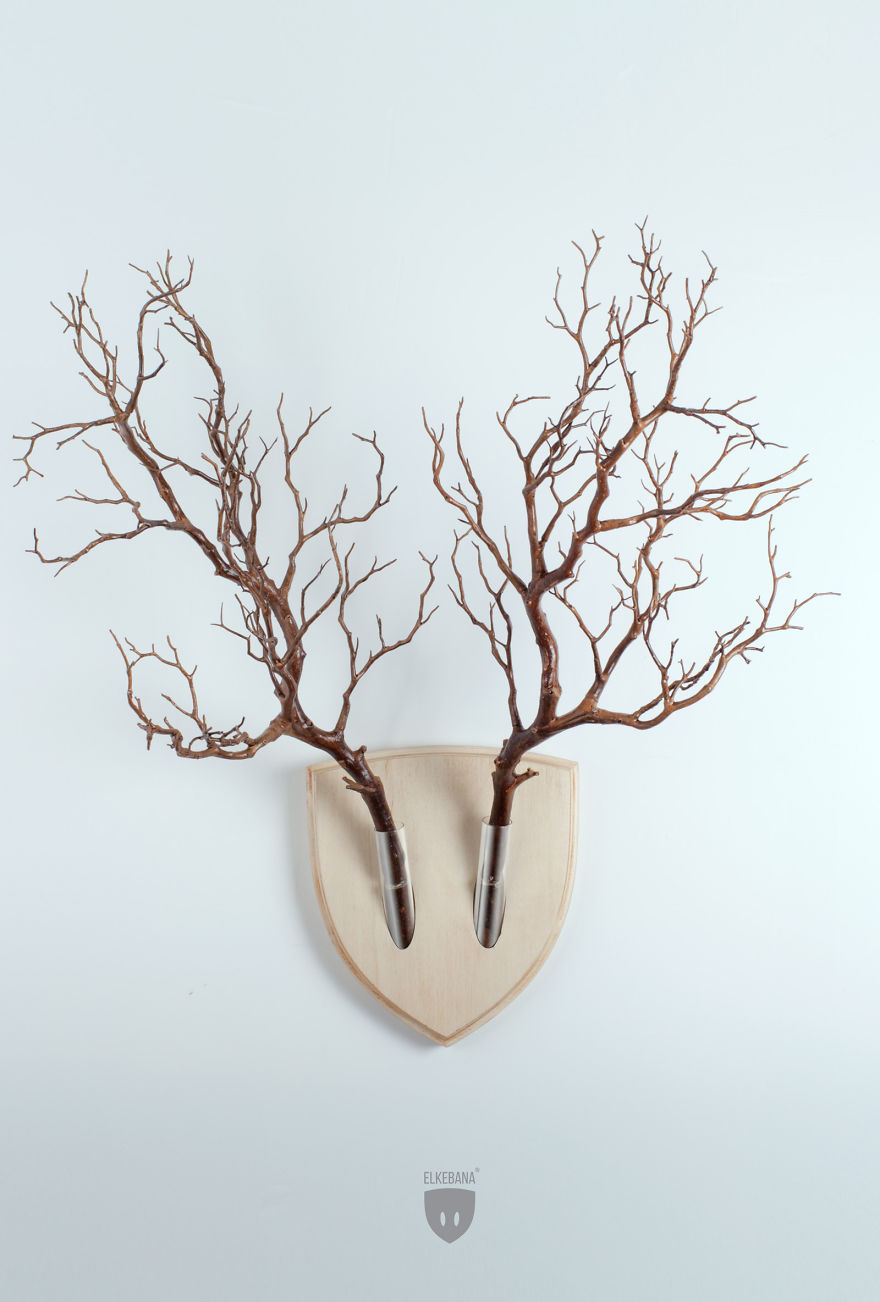 Turn-plants-into-vegan-antler-wall-mount-with-this-cool-design2__880